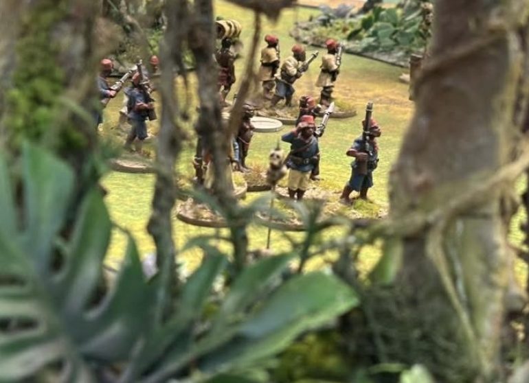 A Congo Battle Report