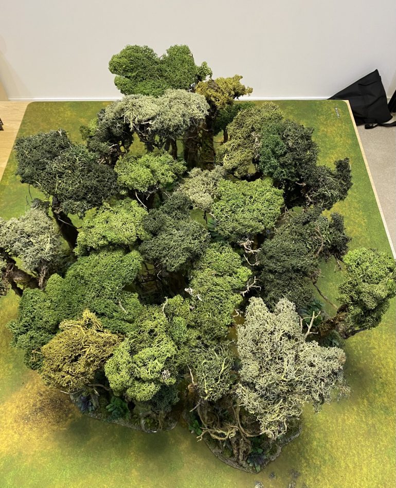 A final picture of the new jungle canopy.