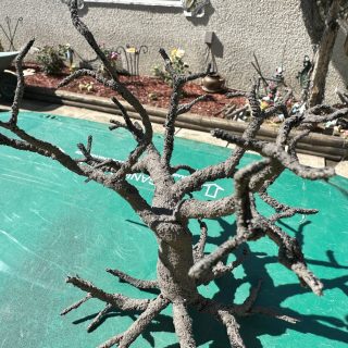 Building the armatures and carving rocks