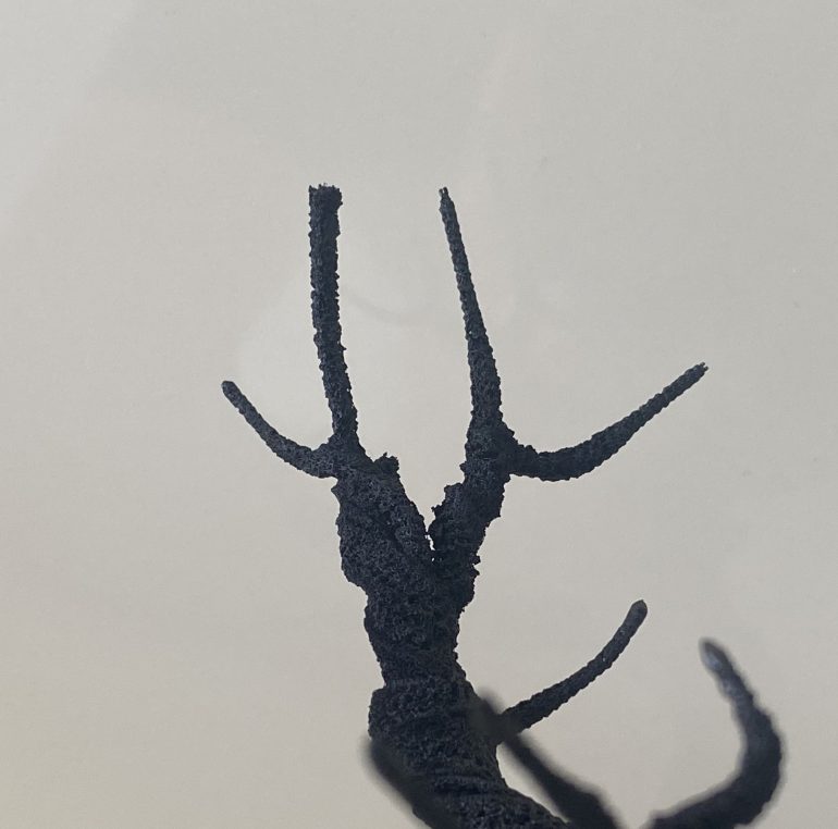 A comparison between a branch with just the heat gun and one which has been finished off with a naked flame.