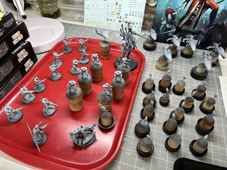 A fully zenithed combat patrol.