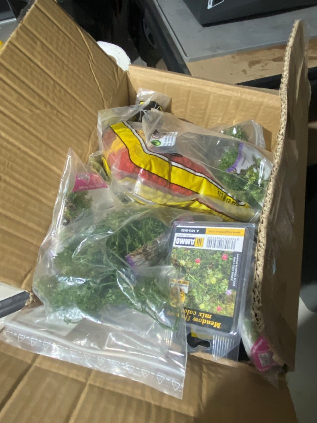 Large tub of ground covers, bushes and such like.