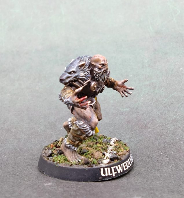 The pelt might be over highlighted because earlier in the coat looked my blue grey and stood out more.