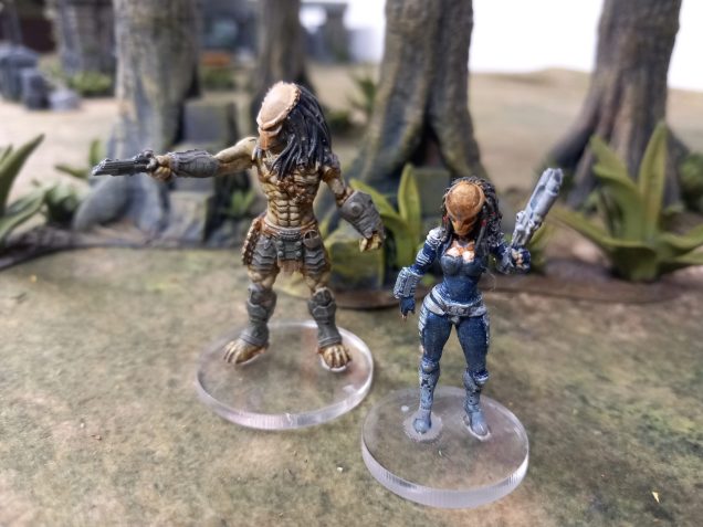 The character model of machiko the human who joins the clan. I wish someone would do a model of her before she joins as depicted in the original comic whith shotgun and katana. There are a few prints to choose from but I wanted the gun version