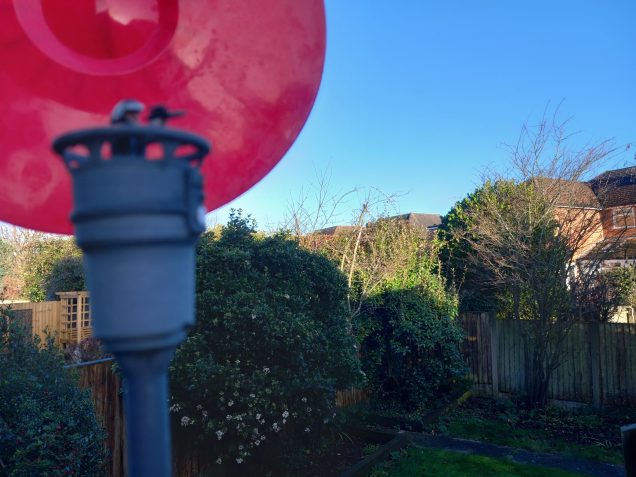 Trying to recreate Yavin4 in the back garden 