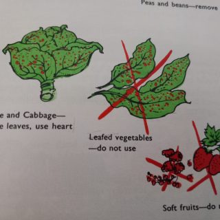 Real fallout tangent