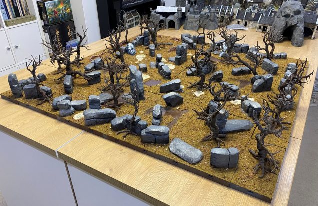 First layer of ground cover