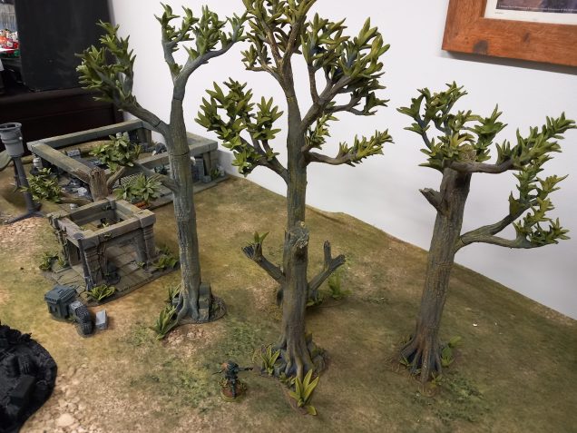 Trees