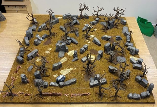 First layer of ground cover