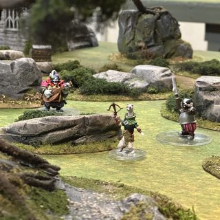 Bushes & Boulder & Badgers in Battle