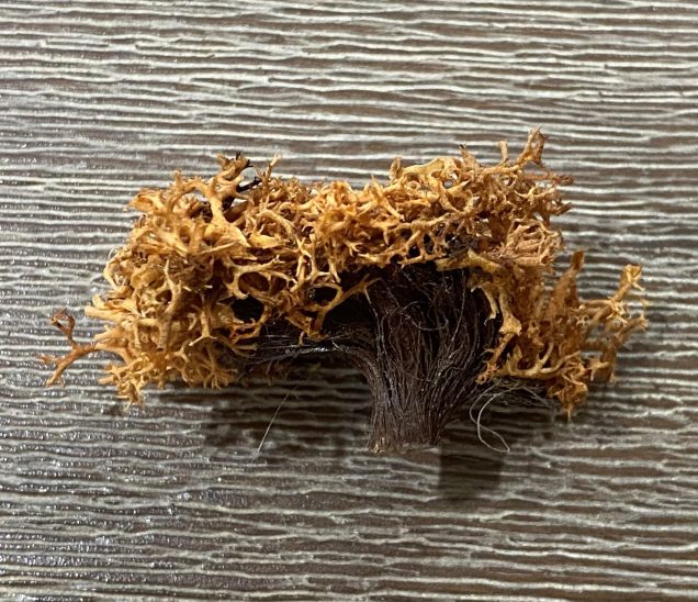 I then used brown spray paint to colour the string before dipping the frayed end into some Mod Podge and then into the small torn apart pieces of Lichen and then set it aside to dry.  One dry I just used scissors to trim the glued and down a little.  This creates a nice flat surface for gluing the shrub down.  Alternatively, if mounting the shrub on foam terrain you could just make a hole in the terrain and push the base of the shrub into the hole.