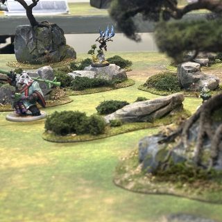 Bushes & Boulder & Badgers in Battle