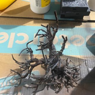 Burrows and Badger Den