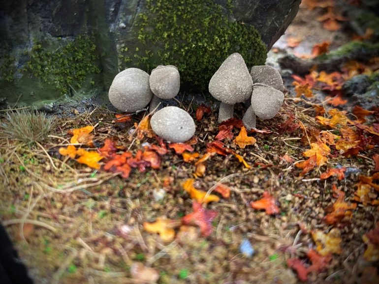 The wraithbone spray applied with a spluttering effect to help create texture.