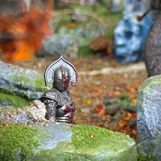 Shrooms, Fungi and Rimming.