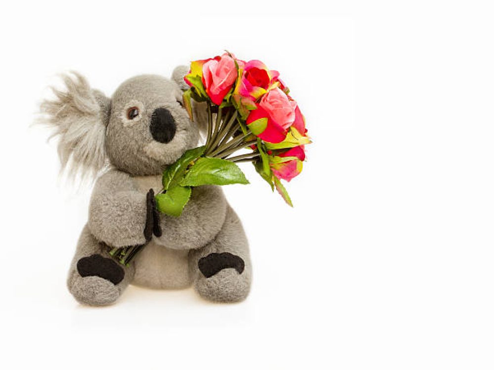 War of the Flamin' Roses (Terrainfest 2025)