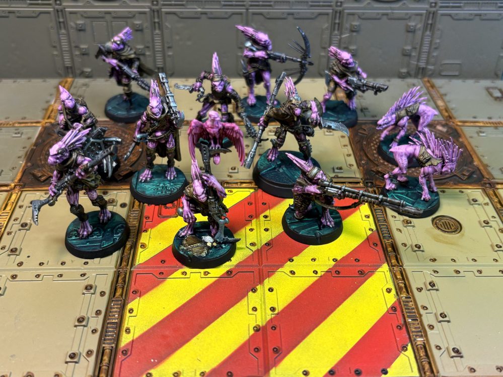 Tau and Kroot Army commission