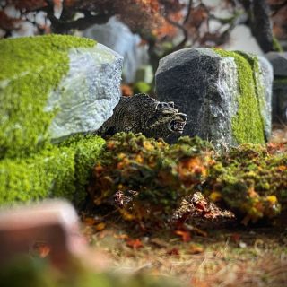 Shrooms, Fungi and Rimming.