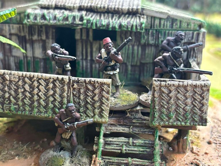 A Congo Battle Report