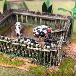 A Congo Battle Report