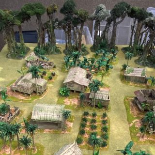 A Congo Battle Report
