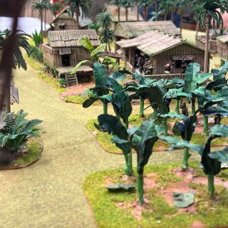 A Congo Battle Report