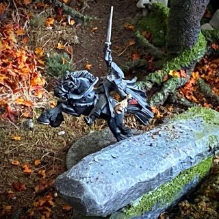 Shrooms, Fungi and Rimming.