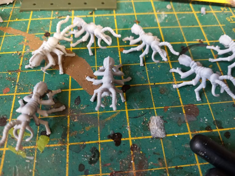 Got some ants printed for the nests. 