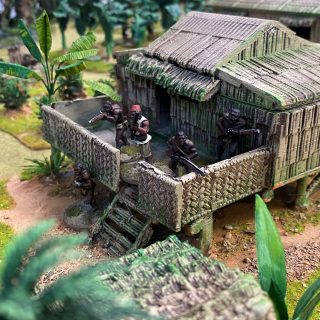 A Congo Battle Report