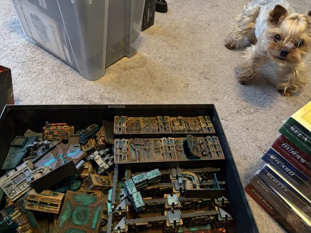 All aboard… ing actions?