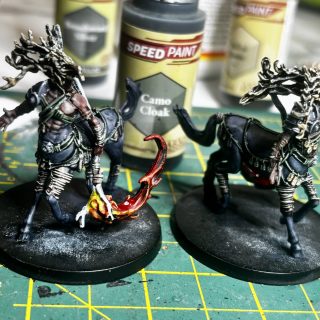 To start with, the little guys!