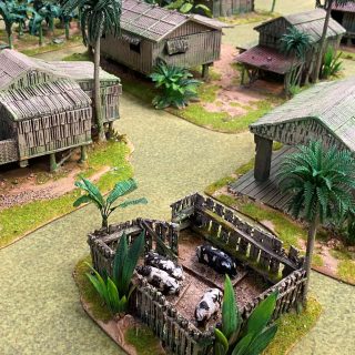 A Congo Battle Report