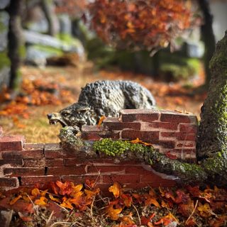 Shrooms, Fungi and Rimming.