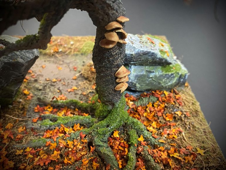 Shrooms, Fungi and Rimming.