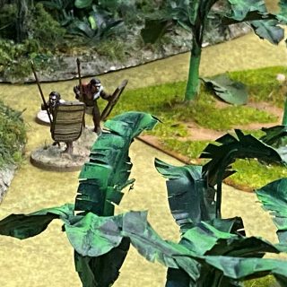 A Congo Battle Report