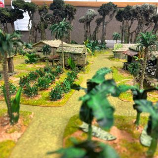 A Congo Battle Report