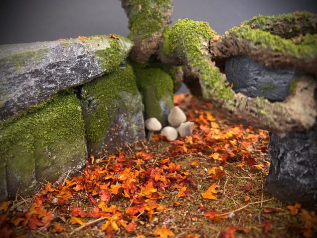 Shrooms, Fungi and Rimming.