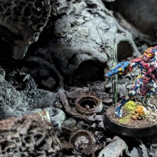 What a difference a day makes