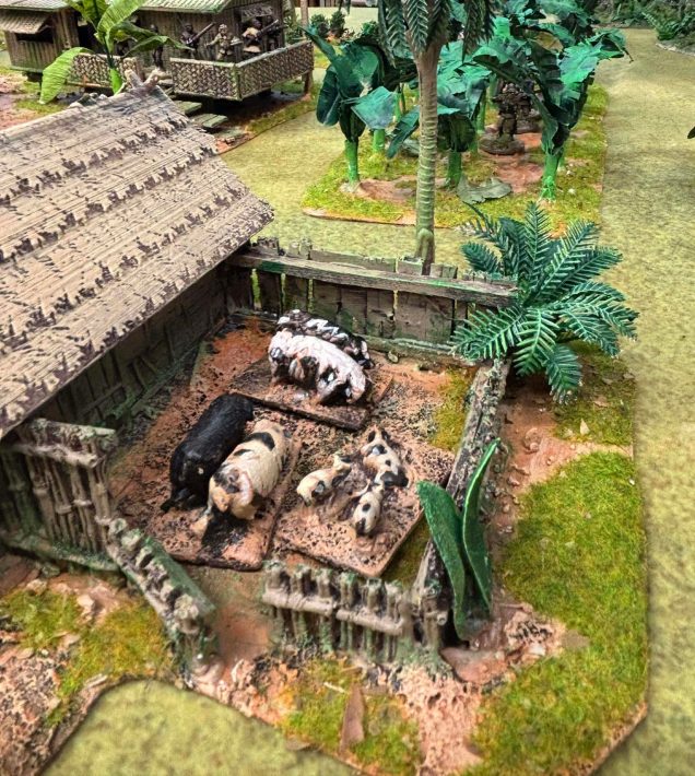 A Congo Battle Report