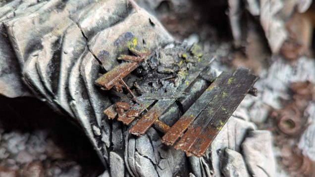 What a difference a day makes