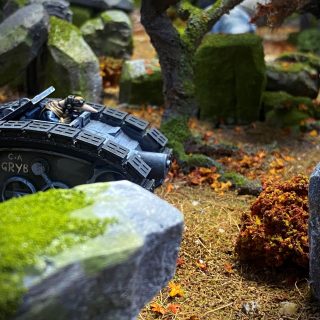 Shrooms, Fungi and Rimming.