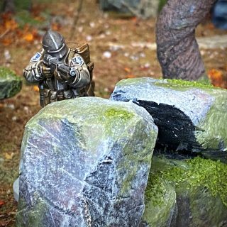 Shrooms, Fungi and Rimming.