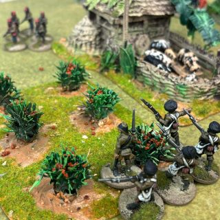 A Congo Battle Report