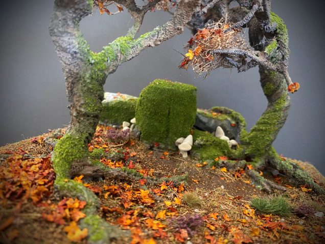 Shrooms, Fungi and Rimming.