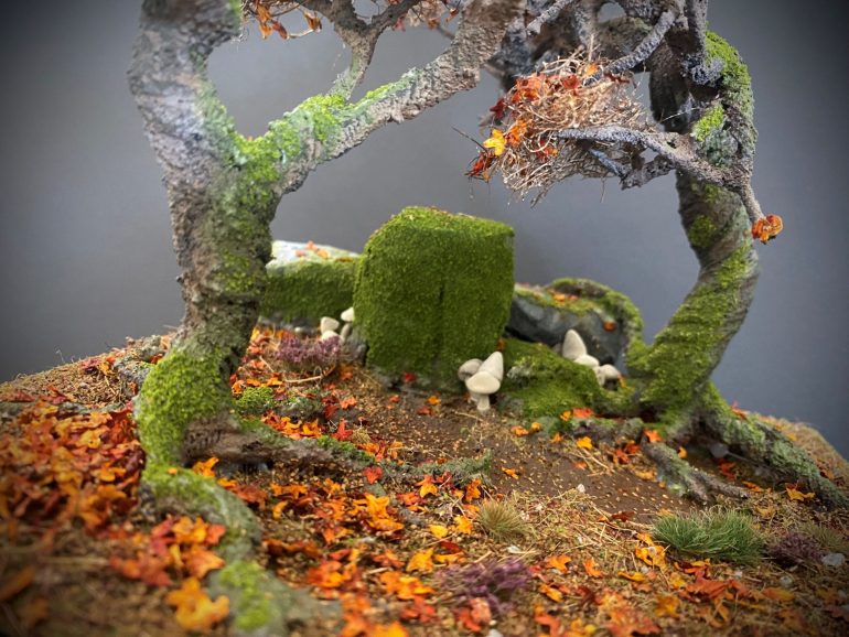 Shrooms, Fungi and Rimming.