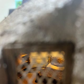 Burrows and Badger Den