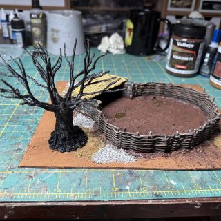 Pig Pen and Chicken Coop