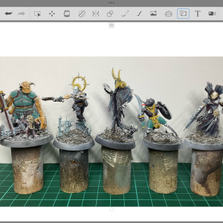 Forbidden Psalm kit bashed models or car crash?