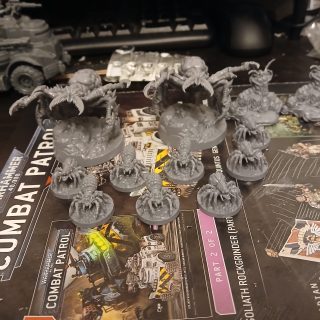 First of the year finished