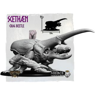 Army Out Of My Head: All Hail the Short Kings!